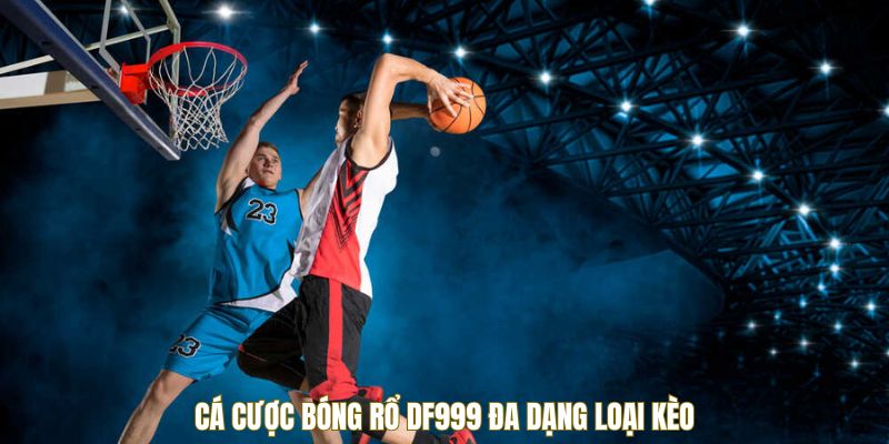 cac-loai-keo-ca-cuoc-bong-ro