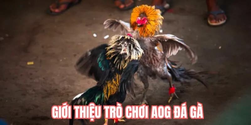 da-ga-aog-df999-gioi-thieu