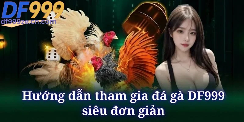 da-ga-df999-quy-trinh-tham-gia