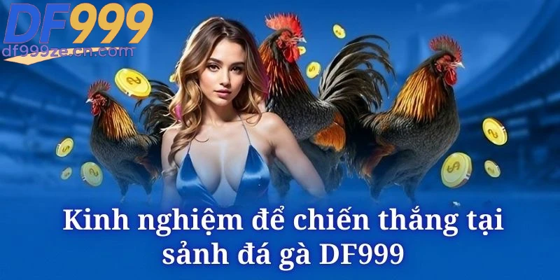 lam-chu-nguyen-tac-de-thang-lon-sanh-game-da-ga-df999