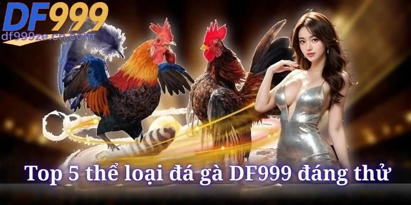 top-5-the-loai-da-ga-df999-nen-tham-gia