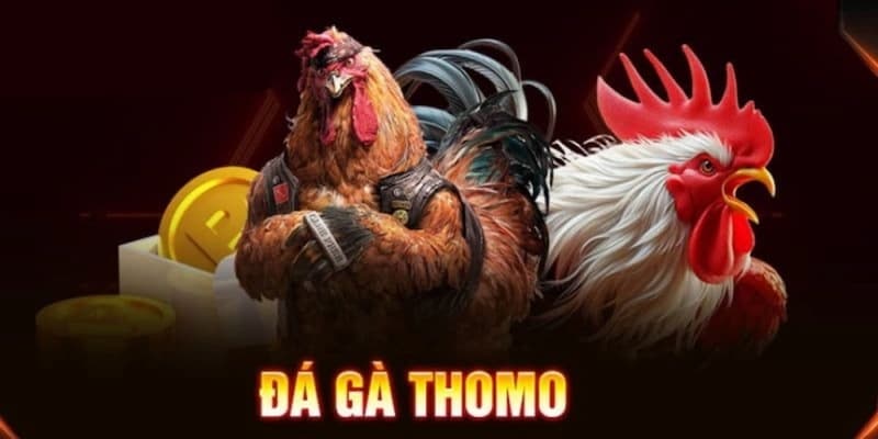 da-ga-thomo-tong-quan