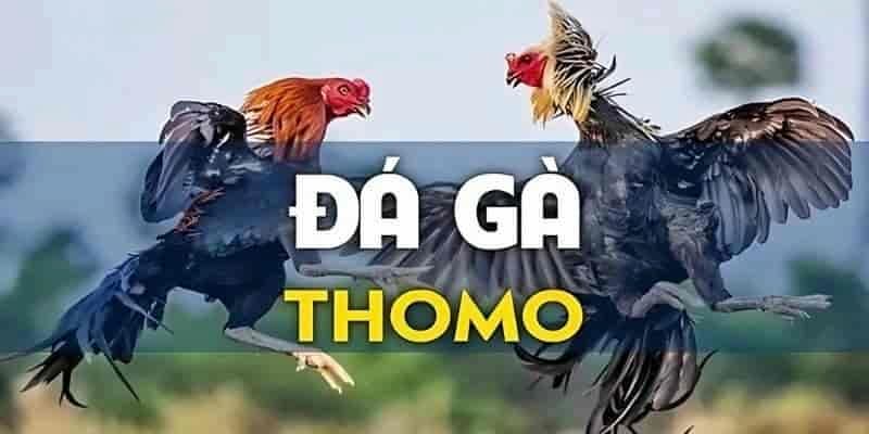 da-ga-thomo-uu-diem