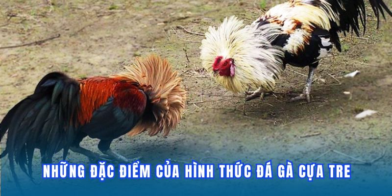 dac-diem-cua-da-ga-cua-tre