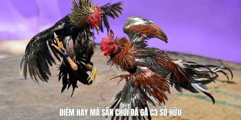 uu-diem-da-ga-c3