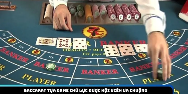 dg-live-caisno-baccarat